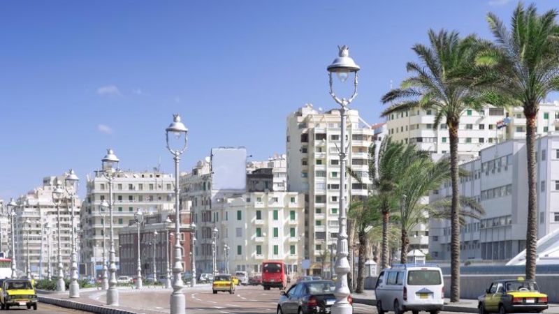 Turkish Airlines Alexandria Office in Egypt